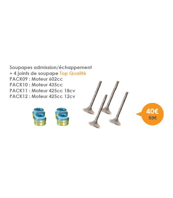 Soupapes admission/échappement + 4 joints de soupape Top Qualité Moteur 425cc 18cv Soupapes admission/échappement + 4 joints de soupape Top Qualité Moteur 425cc 18cv
