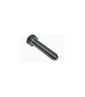 LOT DE 6 VIS 9X125X39MM POUR ARMATURE BÂCHE MÉHARI