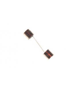 Fusible origine en verre 16 AMP
