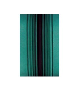 PLAGE ARRIERE 2CV TISSUS VERT RAYE