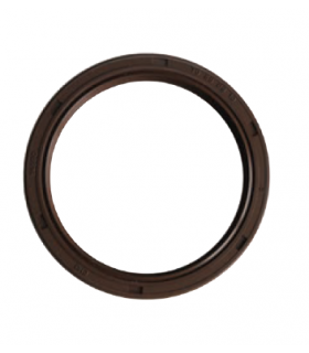 JOINT SPI VILEBREQUIN ARR AMI6 52 69 10 TOP QUALITE VITON