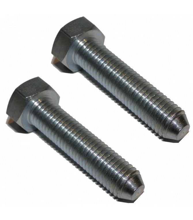 LOT DE 2 VIS 9X125X39MM POUR MONTANT POUR MÉHARI