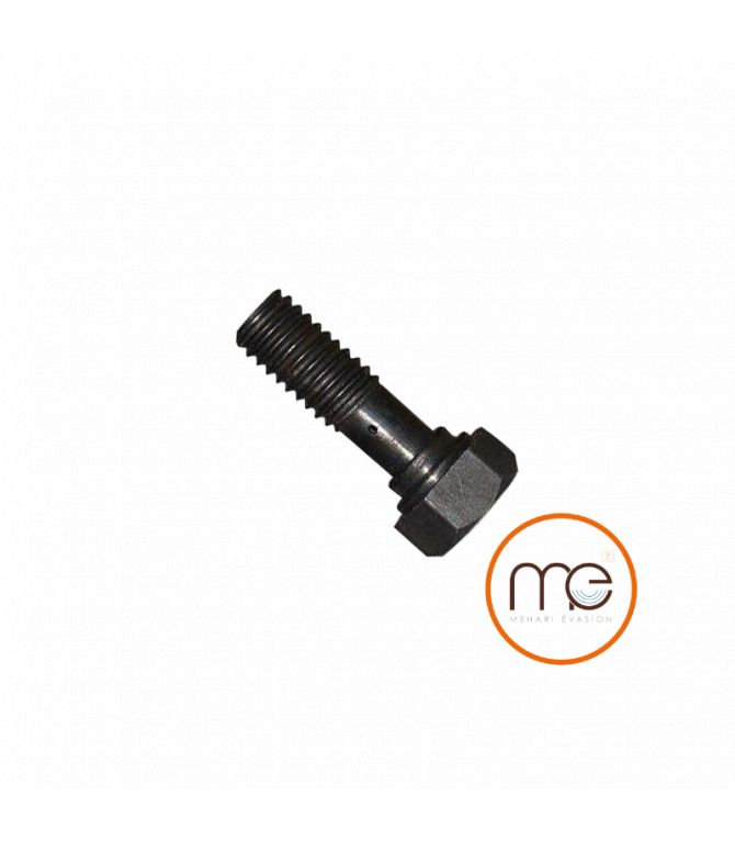 VIS DE RACCORDEMENT DU TUYAU DE GRAISSAGE SUR CULASSE POUR 602 & 435CC