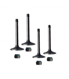 KIT COMPLET SOUPAPES POUR 2 CULASSES MOTEUR 602CC 2CV6