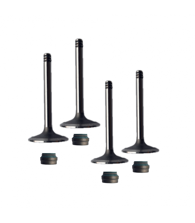 KIT COMPLET SOUPAPES POUR 2 CULASSES MOTEUR 602CC 2CV6